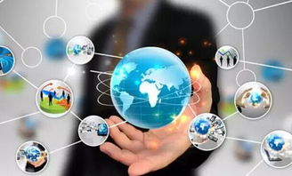 津城园苗木介绍与网络时代种植苗木的五大风险